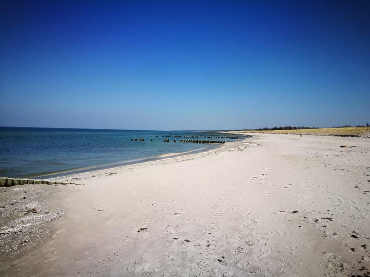 Darsser Strandgut - Haus Ahrenshooper Holz Екстер'єр фото