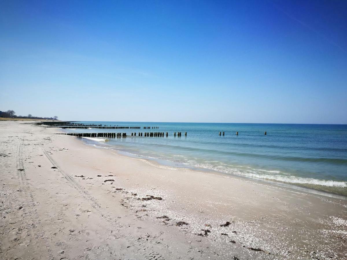 Darsser Strandgut - Haus Ahrenshooper Holz Екстер'єр фото